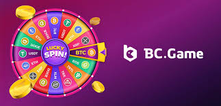 Discover the Exciting World of Bcco