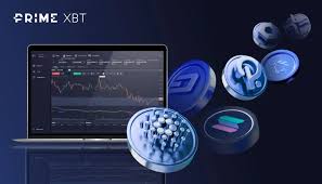 Mastering the Markets Live Trading on PrimeXBT Mastering the Markets Live Trading on PrimeXBT